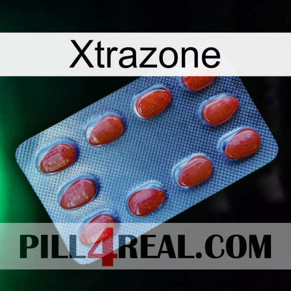 Xtrazone 06.jpg